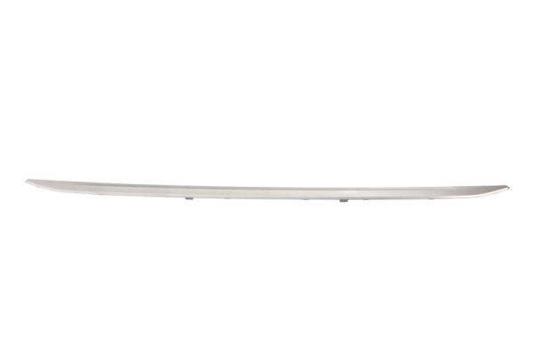BLIC 5513-00-0063928P Trim/Protection Strip, bumper