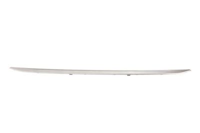 Trim/Protection Strip, bumper BLIC 5513-00-0063928P