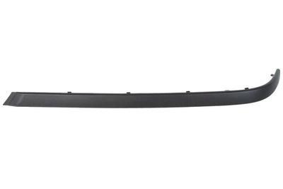 Trim/Protection Strip, bumper BLIC 5513-00-00659704P