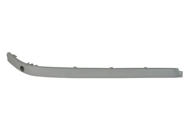 BLIC 5513-00-00659709P Trim/Protection Strip, bumper