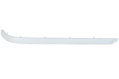 Trim/Protection Strip, bumper BLIC 5513-00-00659712P