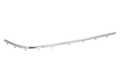 Trim/Protection Strip, bumper BLIC 5513-00-00659715P