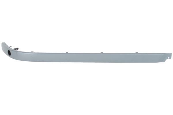 BLIC 5513-00-00659726P Trim/Protection Strip, bumper