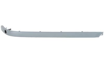 Trim/Protection Strip, bumper BLIC 5513-00-00659726P