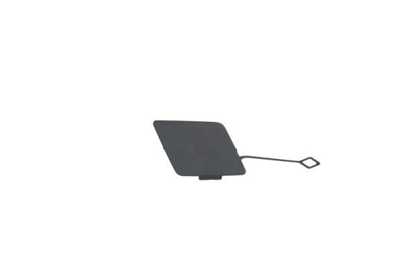 BLIC 5513-00-0067925P Cover, bumper