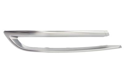 Trim/Protection Strip, bumper BLIC 5513-00-0067971PF