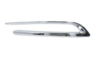 Trim/Protection Strip, bumper BLIC 5513-00-0067973PF