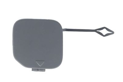 Bumper Cover, trailer hitch BLIC 5513-00-0073970P