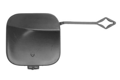 Bumper Cover, trailer hitch BLIC 5513-00-0073971P