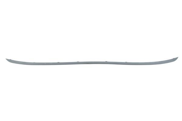BLIC 5513-00-0086972P Trim/Protection Strip, bumper