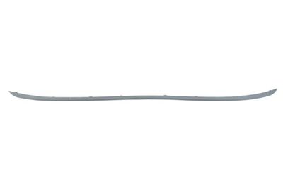 Trim/Protection Strip, bumper BLIC 5513-00-0086972P