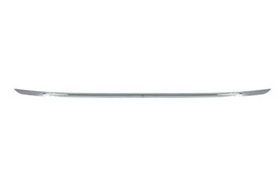 Trim/Protection Strip, bumper BLIC 5513-00-0086973P