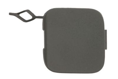 Bumper Cover, trailer hitch BLIC 5513-00-1189924P