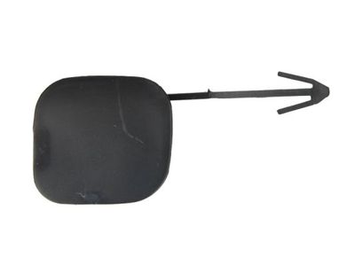 Bumper Cover, trailer hitch BLIC 5513-00-1609920P