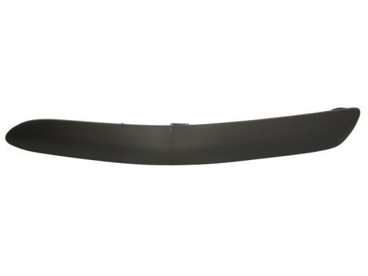 BLIC 5513-00-1632921P Trim/Protection Strip, bumper