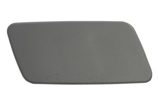 BLIC 5513-00-2002922P Cover, bumper