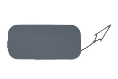 Bumper Cover, trailer hitch BLIC 5513-00-2013929P