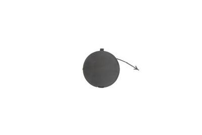 Bumper Cover, trailer hitch BLIC 5513-00-2018920P