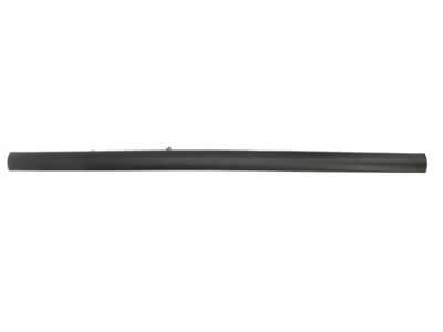 Trim/Protection Strip, bumper BLIC 5513-00-2532965P