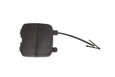 Bumper Cover, trailer hitch BLIC 5513-00-2556972P