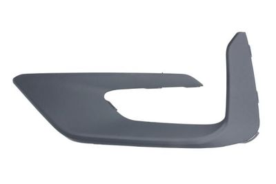 Trim/Protection Strip, bumper BLIC 5513-00-2595921P