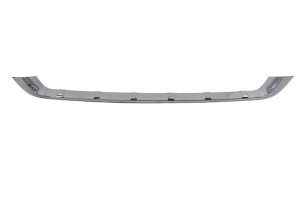 BLIC 5513-00-3205920P Trim/Protection Strip, bumper