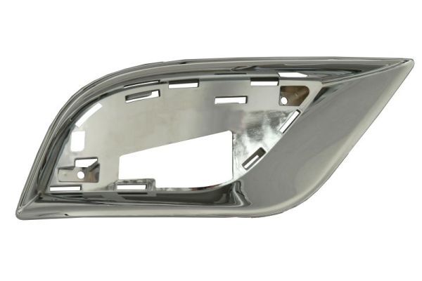 BLIC 5513-00-3207922DP Trim/Protection Strip, bumper