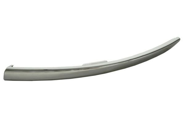 BLIC 5513-00-3207923FP Trim/Protection Strip, bumper