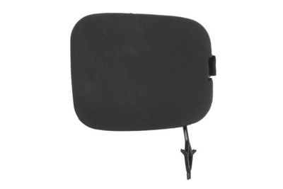 Bumper Cover, trailer hitch BLIC 5513-00-3217970P