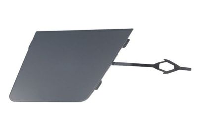 Bumper Cover, trailer hitch BLIC 5513-00-5034920P