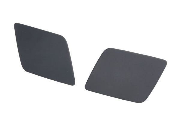 BLIC 5513-00-5519990P Cover, bumper