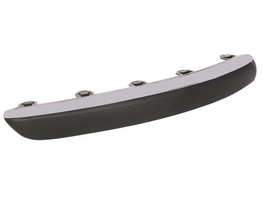 BLIC 5513-00-5537922P Trim/Protection Strip, bumper