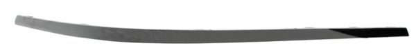 BLIC 5513-00-9540961P Trim/Protection Strip, bumper