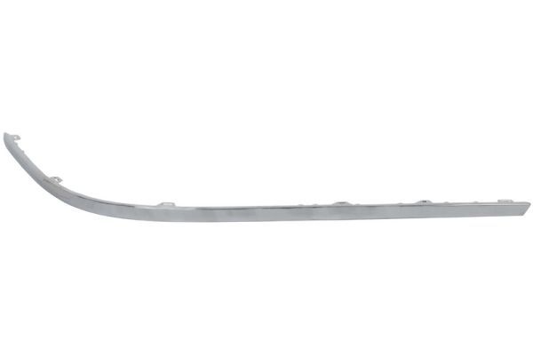 BLIC 5513-00-9540962P Trim/Protection Strip, bumper