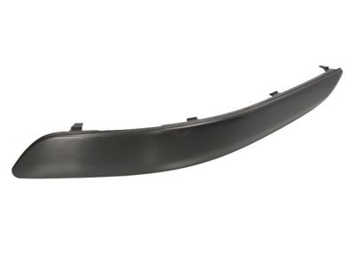 Trim/Protection Strip, bumper BLIC 5513-00-9545925P