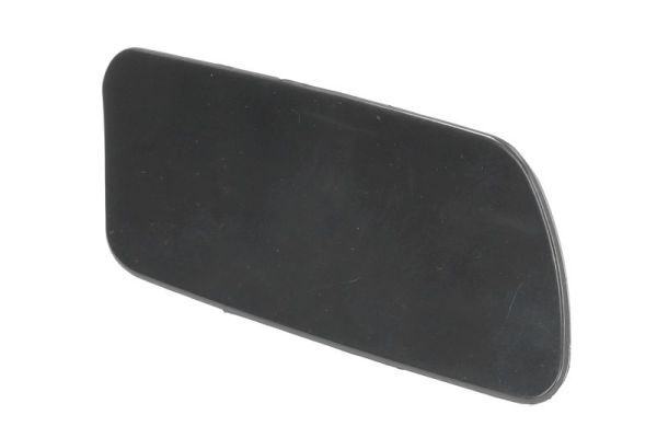 BLIC 5513-00-9586916P Cover, bumper