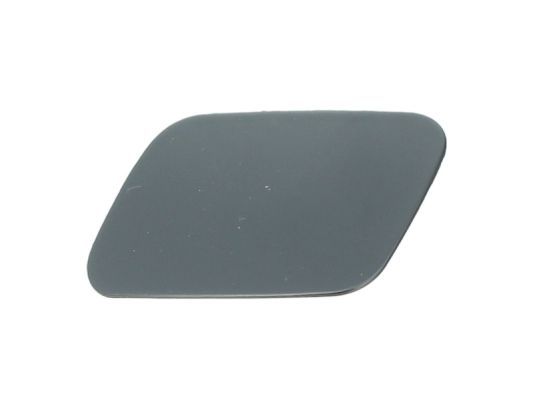 BLIC 5513-00-0028923P Cover, bumper