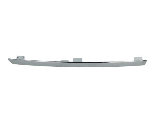 BLIC 5513-00-0040927P Trim/Protection Strip, bumper