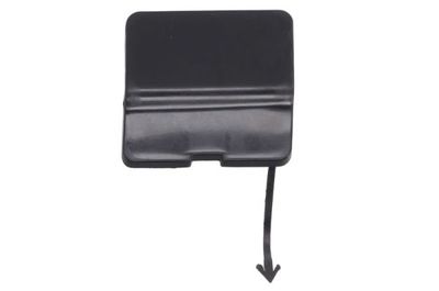 Bumper Cover, trailer hitch BLIC 5513-00-0060979P