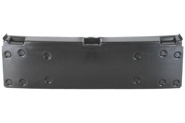 BLIC 5513-00-00629200P Licence Plate Holder