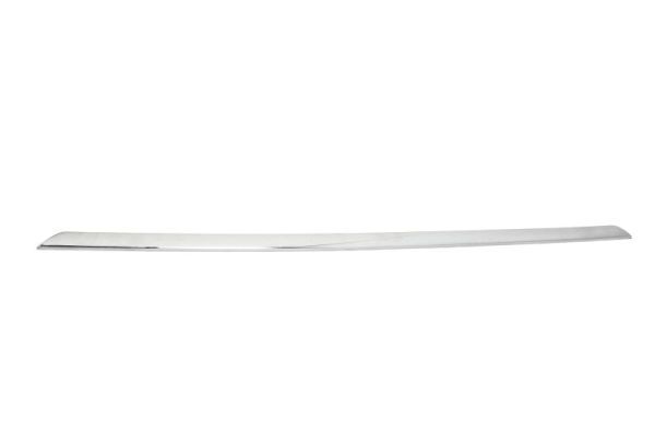 BLIC 5513-00-0063926P Trim/Protection Strip, bumper