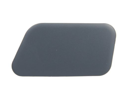 BLIC 5513-00-0066925P Cover, bumper