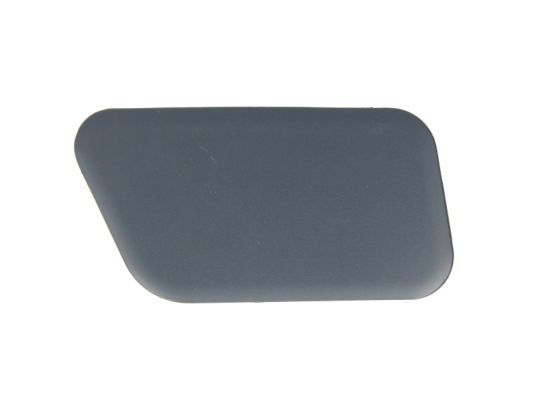 BLIC 5513-00-0066926P Cover, bumper