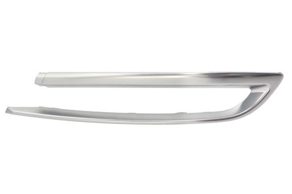 BLIC 5513-00-0067972PF Trim/Protection Strip, bumper