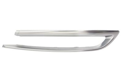 Trim/Protection Strip, bumper BLIC 5513-00-0067972PF