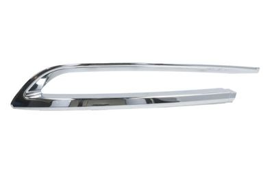 Trim/Protection Strip, bumper BLIC 5513-00-0067974PF