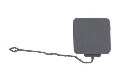 Bumper Cover, trailer hitch BLIC 5513-00-0077971P