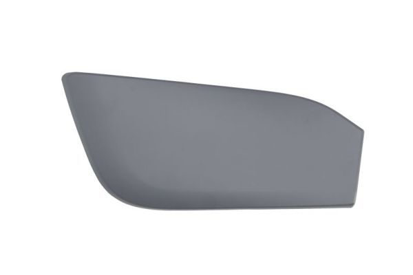 BLIC 5513-00-0095972P Trim/Protection Strip, bumper
