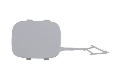 Bumper Cover, trailer hitch BLIC 5513-00-0532920P