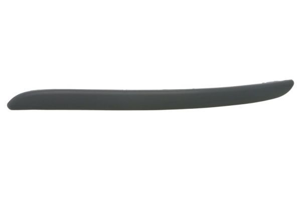 BLIC 5513-00-1608921Q Trim/Protection Strip, bumper